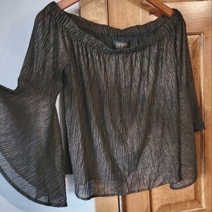 Shyanne Glimmer Brown Off the Shoulder Top